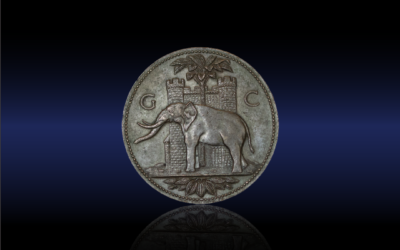 🐘 Auction 1 – Lot 24 🐘
