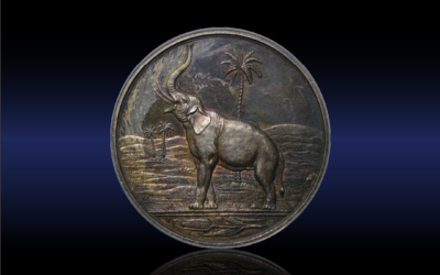🐘 Auction 1 – Lot 261 🐘