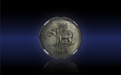 🐘 Auction 1 – Lot 29 🐘