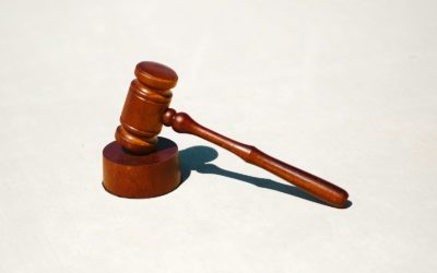 ❓ How to Bid in Our Auctions ❔